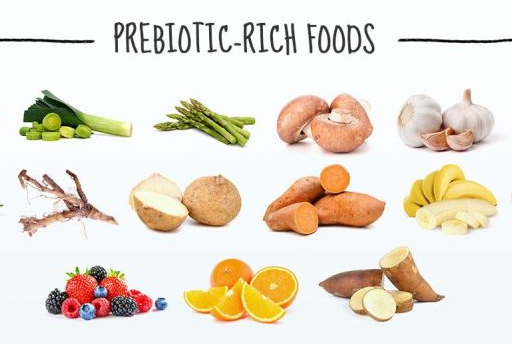 Képtalálat a következőre: „prebiotics”